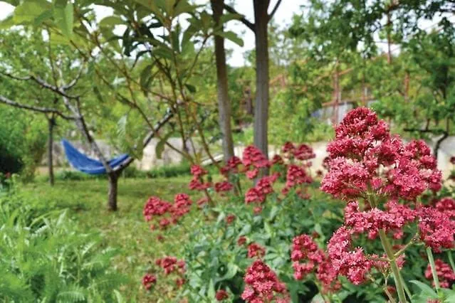 Family 4-Bdr Apartment With Pool דירה Klis